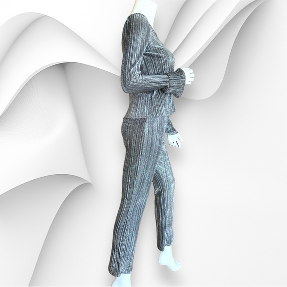 SOCIETY AMUSE SILVER METALLIC PLISSE PANTS & MATCHING TOP. WOMEN’S SIZE XS. NWT - Picture 3 of 11